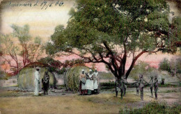 Kolonien Deutsch-Südwestafrika Stpl. Windhuk 25.5.1906, Partie Aus Dem Hererodorf Otavi I-II Colonies - Ehemalige Dt. Kolonien