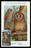 Delcampe - GIBRALTAR (2020) Carte Maximum Card - Owls - Tawny Owl, Strix Aluco, Chouette Hulotte, Waldkauz, Bosuil, Cárabo Común - Gibraltar