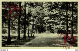 Delcampe - GEZICHTSLAAN BILTHOVEN - Bilthoven