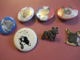 7 Insignes  Badge/Club Chien/Boxer Club De France /B.C.F./Vers 1970-1980    INS278 - Animales & Fauna