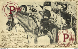 Delcampe - ANES- ANE NON CHARGE D OR- EDITION GILETTA- BURROS ANE DONKEY EZEL BURRO - Bergbau