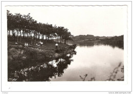 Delcampe - CSM 44 Loire Atlantique : Savenay : Lac De La Vallée Mabille - Savenay