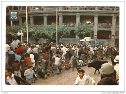 CSM : Espagne : Pampelune  PAMPLONA - Fiesta De San Fermin . El Encierro : Course Taureaux Dans Les Rues - Navarra (Pamplona)