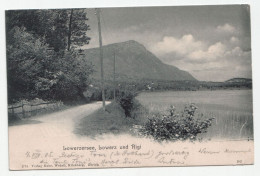 Lowerzersee, Lowerz Und Rigi. Jahr 1905 - Lauerz