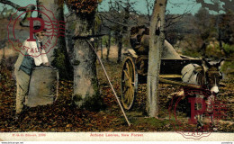 Delcampe - AUTUMN LEAVES, NEW FOREST. PROFESSIONS PEDDLERS COLPORTEURS BURROS DONKEYS ÂNES EZEL - Fliegende Händler