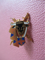 Insigne à épingle / Tauromachie/ Tête De Taureau Avec épée Et Bandrille / Augis Lyon /Vers 1980-80      INS243 - Autres & Non Classés
