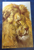 Delcampe - LION Illustrateur PELUBA Série 236A TOP CARTE - Leeuwen