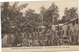 PC UK, SALOMON ISLANDS, UN VILLAGE INDIGÉNE, VINTAGE POSTCARD (B33518) - Salomoninseln