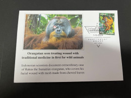 Delcampe - 1-9-2024 (4) Orangutan Seen Treating Wound With Traditional Medecine In First For Wild Animals - Affen