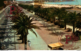 Delcampe - SALOU,  TARRAGONA, PASEO DEL CONQUISTADOR   TARRAGONA CATALUÑA CATALONIA ESPAÑA ESPAGNE - Tarragona