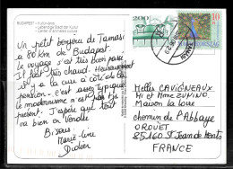 N44 - HONGRIE - CP DE TAMASI DU 29/06/10 POUR LA FRANCE - Briefe U. Dokumente
