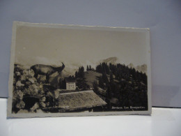 BRETAYE SUISSE VD VAUD LES BOUQUETINS CPSM FORMAT CPA - Bretaye
