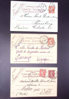 Lettre Lot De 21 Entiers Cartes Postales 10c Semeuse Camée Rouge Avec Illustrations Dessinées Ou Peintes à La Main. TB - Other & Unclassified