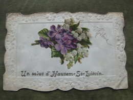 SINT LIEVENS HOUTEM - UN SALUT D'HAUTEM ST. LIEVIN - Sint-Lievens-Houtem