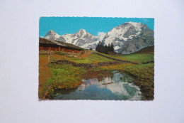 BEI MURREN  -  Eiger  -  Mönch Und Jungfrau  -  SUISSE - Muri Bei Bern