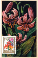 FLEUR + LYS / LIS  = HONGRIE 1965 = CARTE MAXIMUM + N° Yvert  1725 Non Dentelé - Maximumkarten (MC)