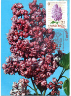 FLEUR + LILAS  = HONGRIE 1965 = CARTE MAXIMUM + N° Yvert  1671 - Maximumkarten (MC)