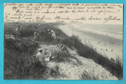 Delcampe - * Heist - Heyst (Kust - Littoral) * (Héliotypie De Graeve - Star Nr 1160) Dans Les Dunes, La Cueillette Des Mures, Duin - Heist