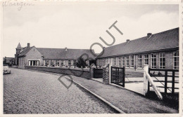 Postkaart/Carte Postale - Waregem - Broekstraat  (C4767) - Waregem