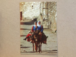 Delcampe - Turkey Türkiye - Anatolia Anatolya Anadolu - Femmes Nomades Sur Des ânes Nomad Women On Donkeys Types Costumes - Antike