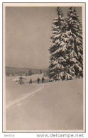 SUISSE JU - Dans Les Chalets Du Noirmont - Le Noirmont