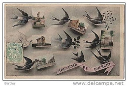 Delcampe - 93 Souvenir Du BOURGET - Multivues (Hirondelles) - Le Bourget