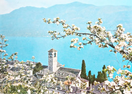 Lago Maggiore - Brissago - Brissago