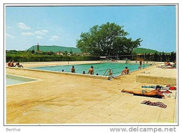 Delcampe - CPM 83 VIDAUBAN - La Piscine - Vidauban