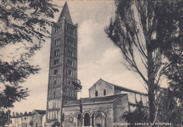 Delcampe - CARTOLINA  CODIGORO FERRARA EMILIA ROMAGNA ABBAZIA DI POMPOSA NON VIAGGIATA   Y41 - Siena