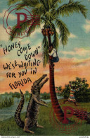 FLORIDA   Afro Americana Coleccionblack - Black Americana