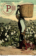 ETATS UNIS - "MY HEART TURNED BACK TO DIXIE" - HOMME NOIR - AGRICULTURE, RECOLTE DU COTON  Afro Americana Coleccionblack - Black Americana