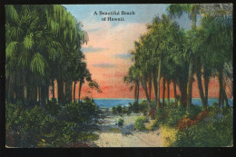 A Beautiful Beach Of Hawaii - Hawaï