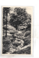 Delcampe - Transinne - Ry " Le Marsault" - Libin