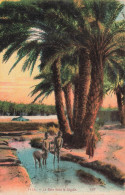 [-5%] ALGERIE - Le Bain Dans Le Ségula - Colorisé - Animé - Carte Postale Ancienne - Altri & Non Classificati