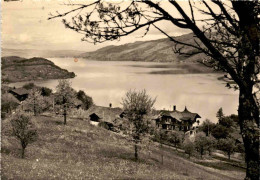 Hotel Restaurant Bellevue-Bären, Krattigen Ob Spiez Mit Thunersee (10) * 1. 5. 1956 - Krattigen