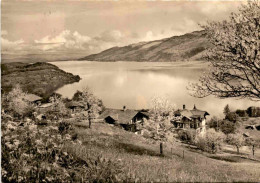 Hotel Bellevue-Bären, Krattigen Ob Spiez Mit Thunersee * 19. 8. 1957 - Krattigen