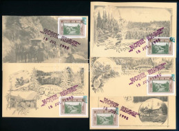 1995/E1a Erdélyi Kiadású Hohe Rinne Centenárium 5 Klf Carte Maximum Emlékívből Származó Bélyegekkel - Other & Unclassified
