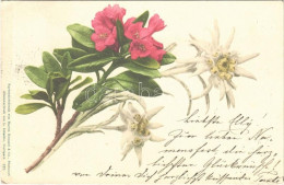 T2/T3 1901 Flowers With Edelweiss (EK) - Unclassified