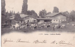 LANCY             Laiterie Modèle            PRECURSEUR - Lancy