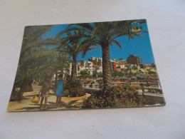 Delcampe - BENIDORM ALICANTE  ( ESPANA  ESPAGNE ) PARQUE DE COLON  ANIMEES - Alicante