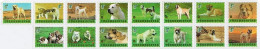 Turkmenistan 2021 . Alabai Dog. 15v. - Turkménistan