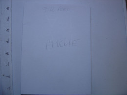 Delcampe - Affiche Cinema STILL ALICE 120 X 160 Cm - Affiches