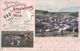 Wald, Kantonale Landwirtschaftliche Ausstellung 1900, 2 Vues (7.10.1900 U) - Wald