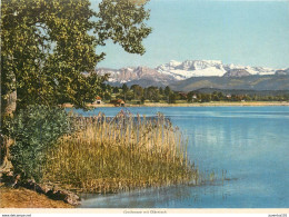 CPSM Greifensee Mit Glarnisch          L2946 - Greifensee