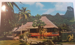 PAO PAO MOOREA POLYNESIE FRANCAISE HOTEL ALMEO - Französisch-Polynesien