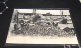 Delcampe - Carte Postale  N47  CANCALE  Triage Des  Huitres - Cancale