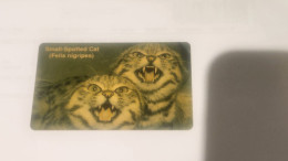 NAMBIA-(NA-TNA-0010-Ob)-Small-Spotted Cat-(NAEIF-Ø)-(NAEI 0034 2294)(39)(N$50)(NOT NUMBER-DUMMY)-good Card - Namibia