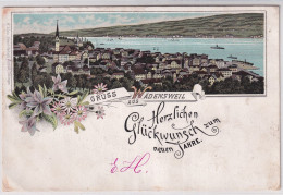 Gruss Aus Wädensweil (Wädensweil) - Gelaufen 1895 (SEHR ALT) - LITHO - Herzlichen Glückkwunsch Zum Neuen Jare - Wädenswil