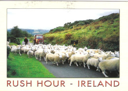 Delcampe - RUSH HOUR, IRELAND.USED POSTCARD Z1 - Sonstige & Ohne Zuordnung