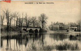 Delcampe - CPA SALBRIS - La Mare Aux Grenouilles (208139) - Salbris